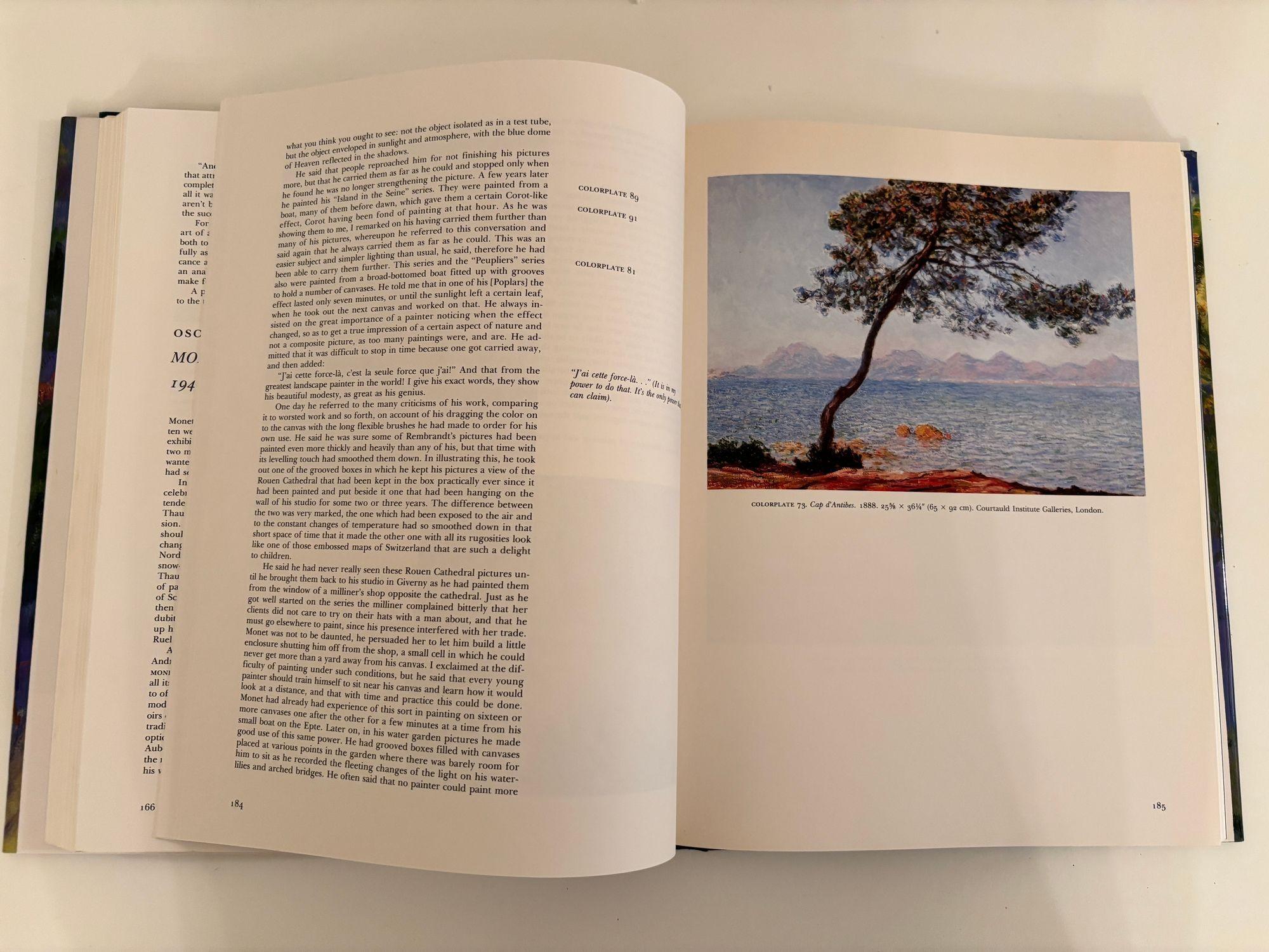 Monet : une rétrospective en vente 3