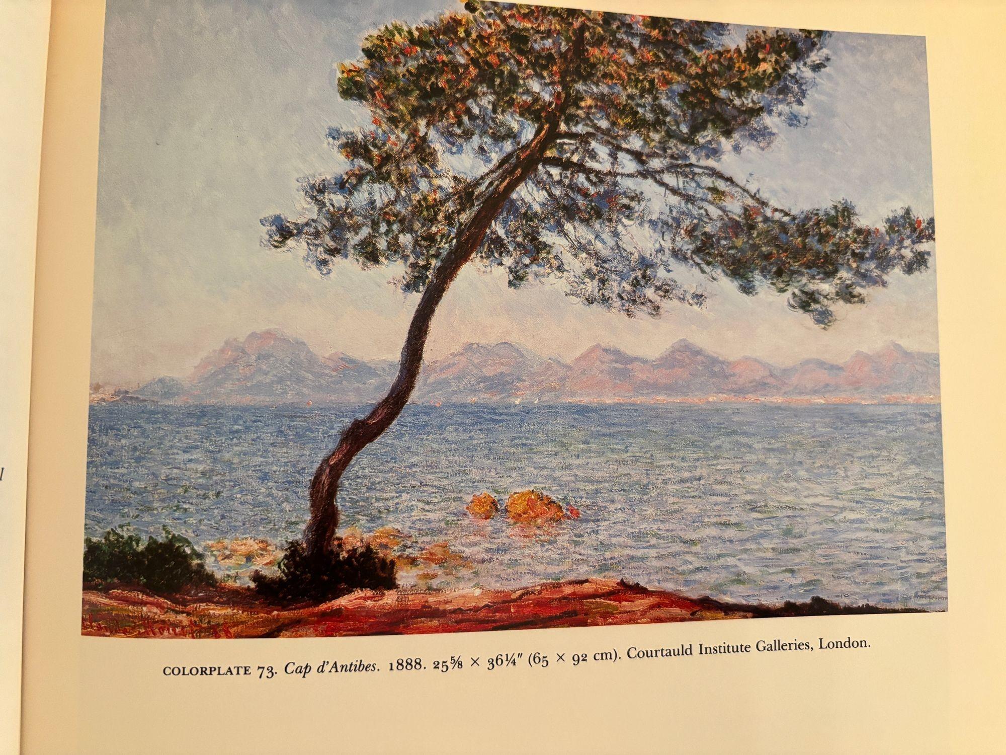 Monet : une rétrospective en vente 4