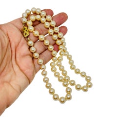 MONET signed gold tone glass pearl beaded designer necklace