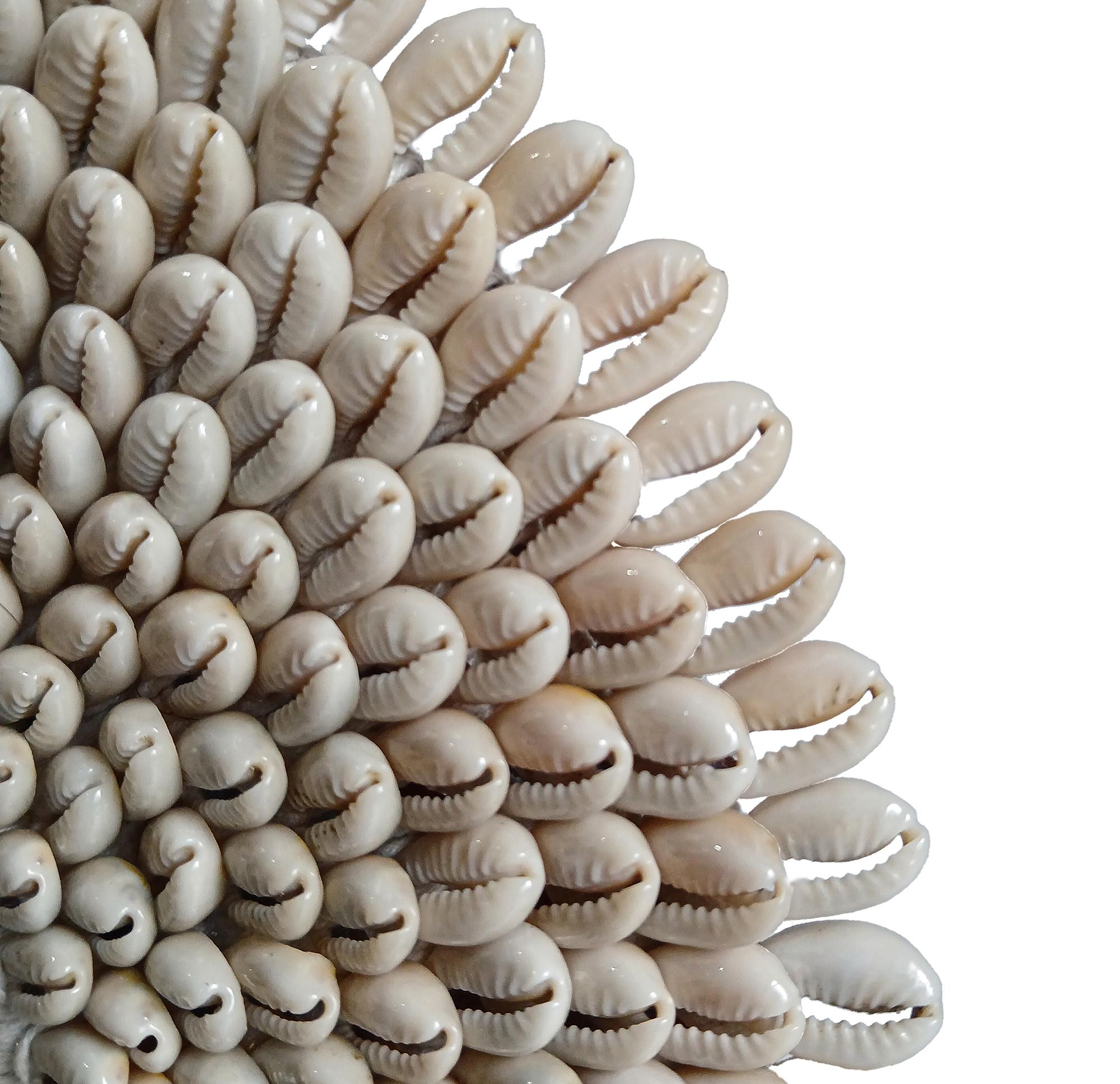 Indonesian Money Cowrie & Macramé Necklace on Stand, Papua New Guinea For Sale