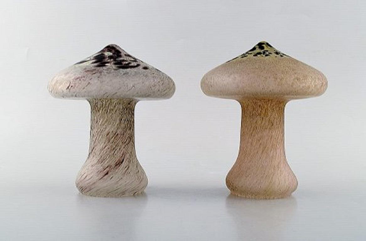 boda mushroom