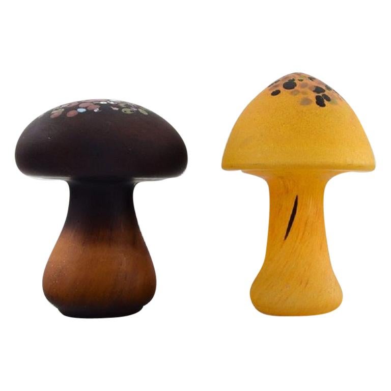 Monica Backström for Kosta Boda. Two mushrooms in colored art glass. 1980
s.
