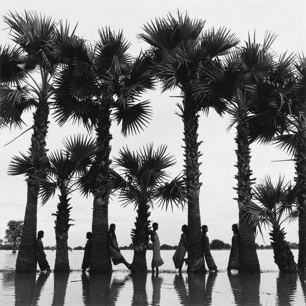 Monica Denevan's  Line of Palms.  Selenium-toned silver Gelatin Print with Wood Frame

Monica Denevan studied photography at San Francisco State University.  She has travelled extensively in Burma and China for many years.  Denevan’s photographs