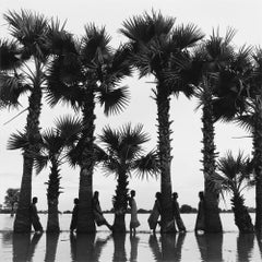 Line of Palms by Monica Denevan.  Silver gelatin photograph.  Dark wood frame