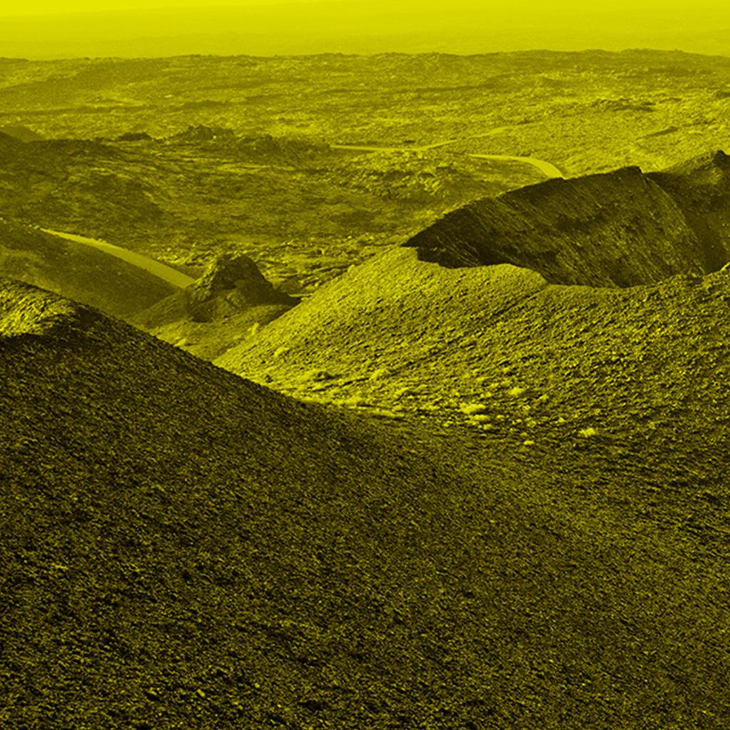 Amarillo from Color of Emotions Series by Monica Sanchez-Robles 2013 Photography For Sale 5