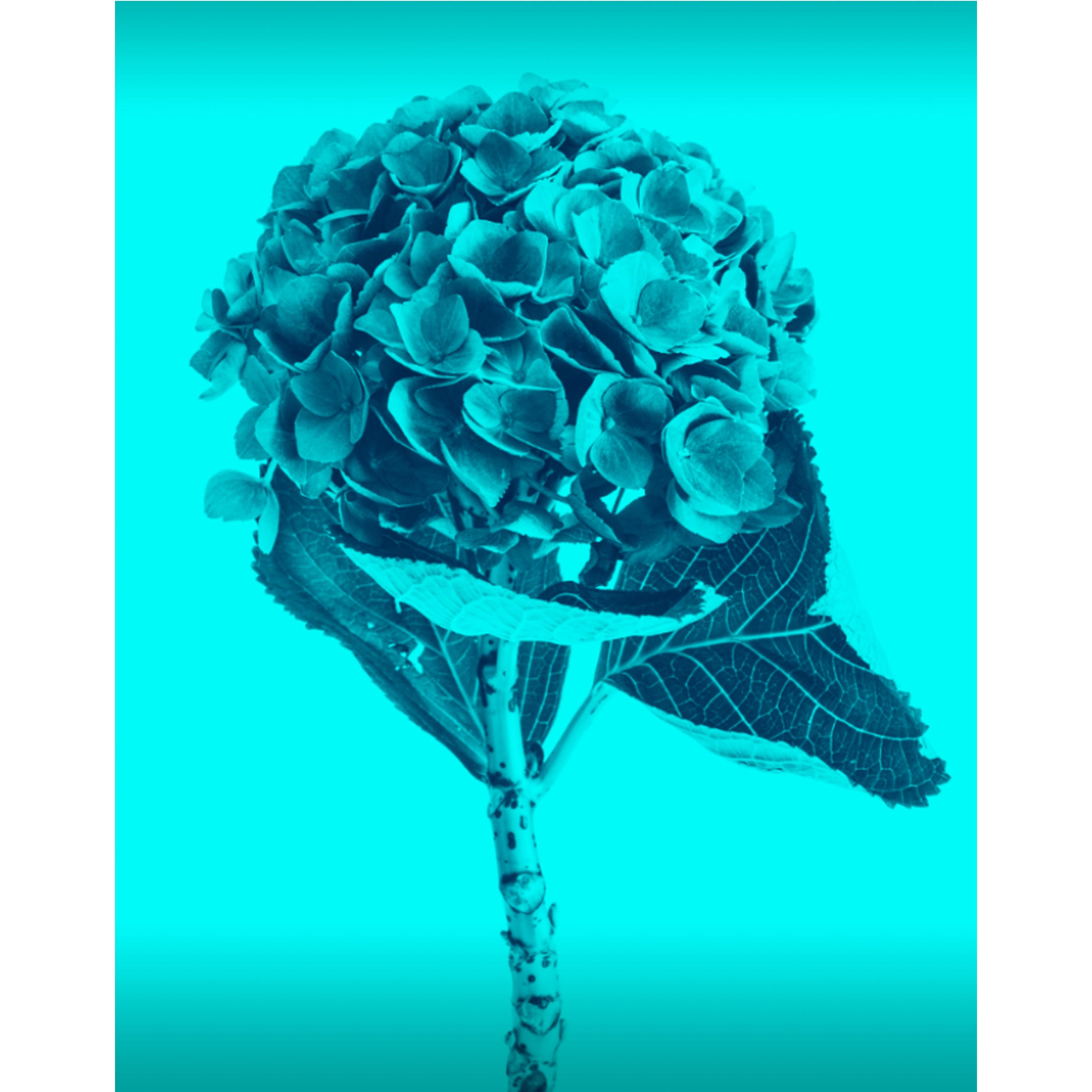 Monica Sánchez-Robles (espagnole, née à Madrid) est une artiste contemporaine multidisciplinaire qui travaille dans les domaines de la photographie, des médias numériques et de l
installation. Actuellement basée à Madrid, elle a également vécu et