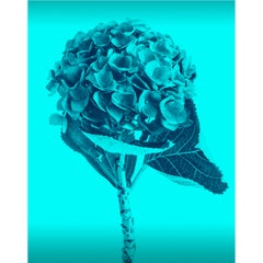 Flowers of Color Cyan by Monica Sanchez-Robles