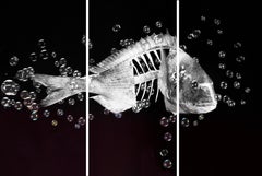 The Fish that new too much  (Triptych)