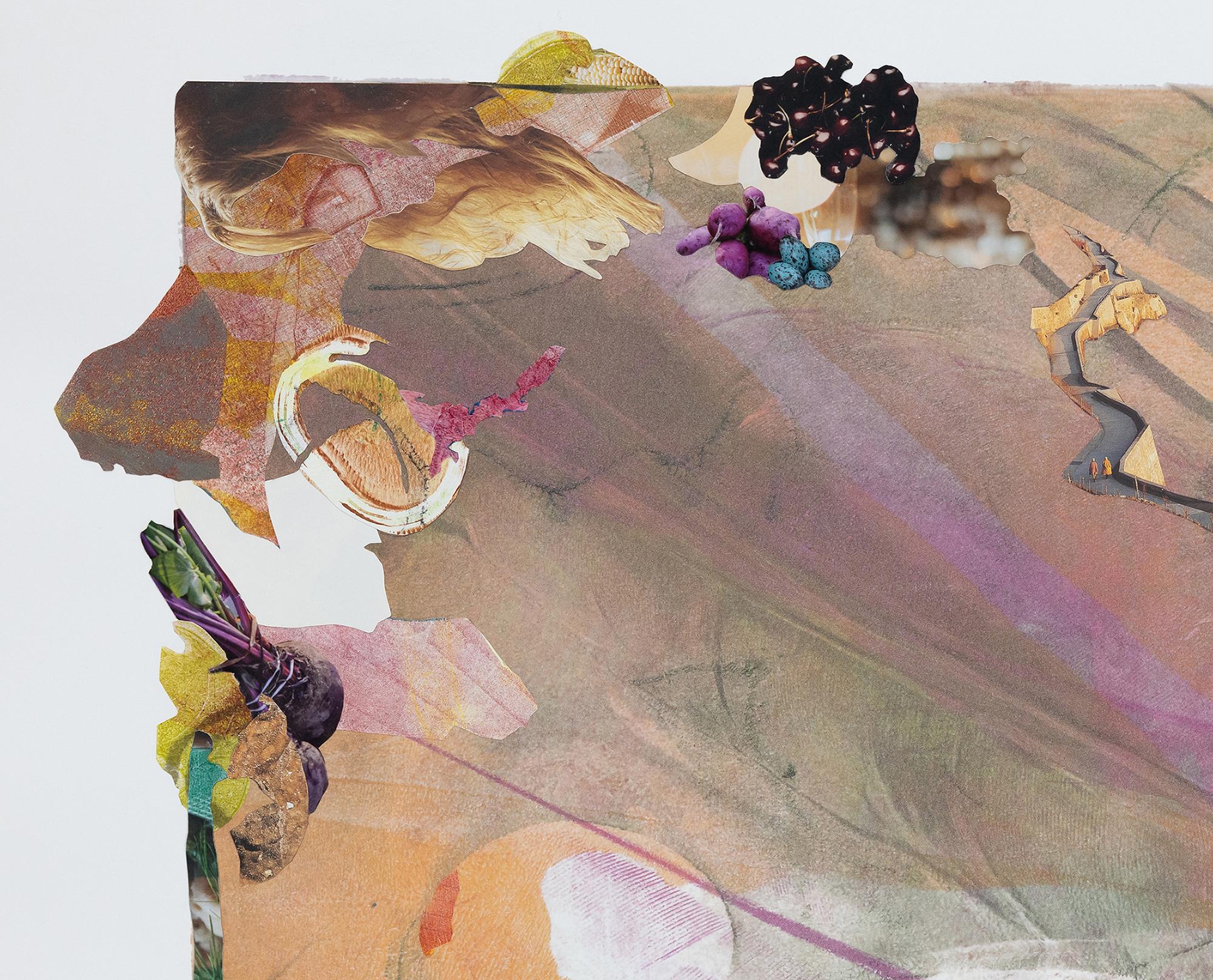 Monica DeSalvo’s “Space Junk” is a 22 x 30 inch surreal collage on a digital enlargement of an abstract acrylic monotype with pink, tan, orange, peach, sage, and white. Soft textures and depth are created by the uneven distribution of color and