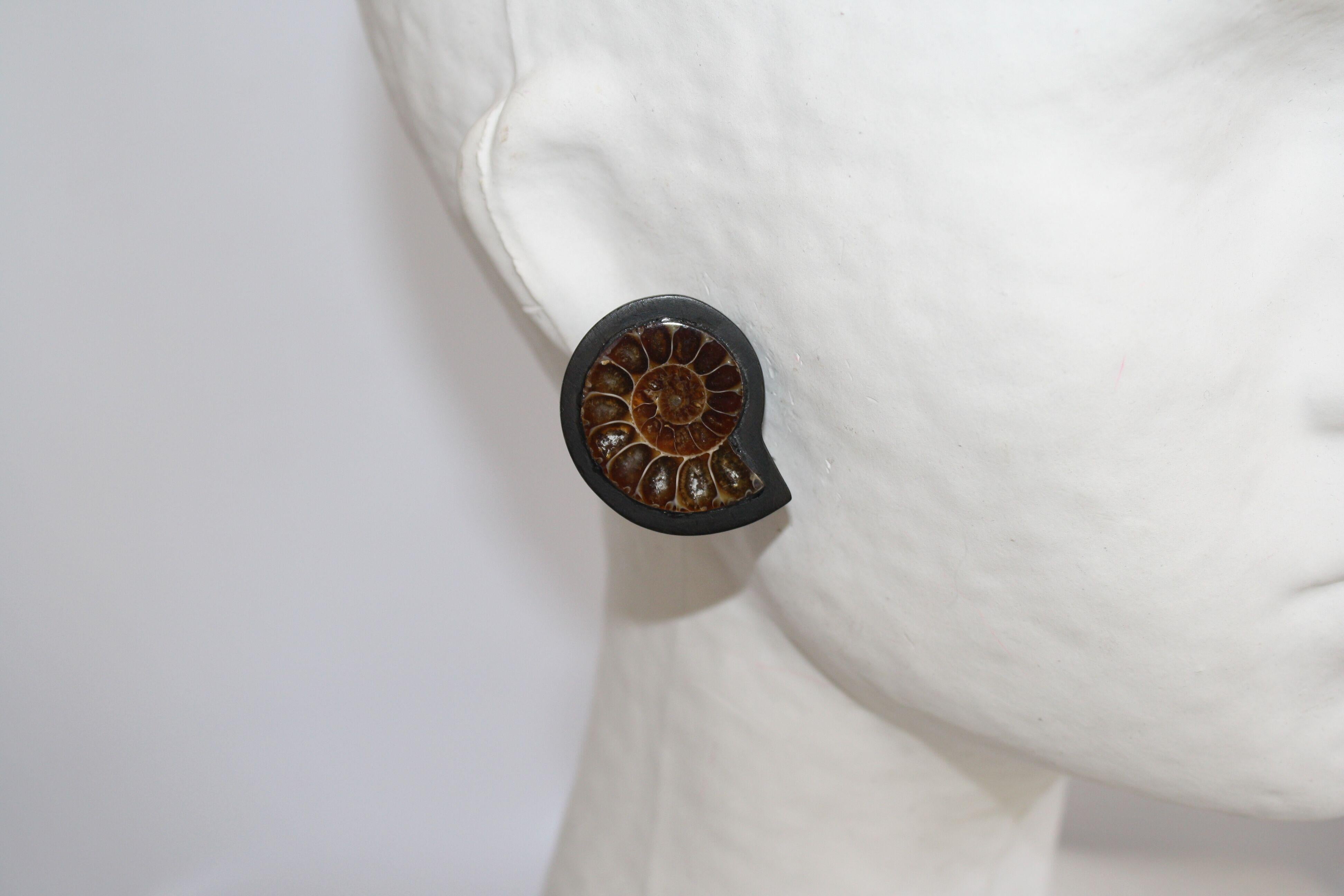 Women's Monies One of a Kind Ammonite and Ebony Clip Earrings 