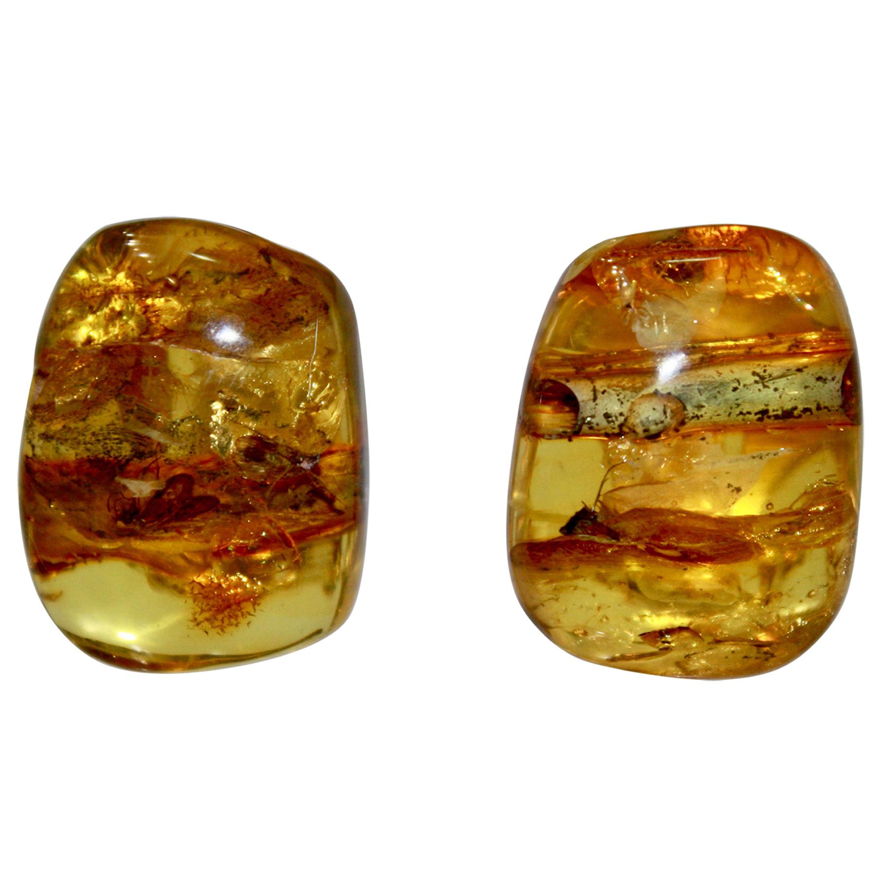 Monies Unique Amber Clip Earrings