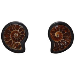 Monies Unique Ammonite and Ebony Clip Earrings