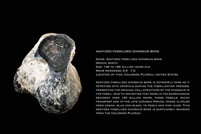 Women's or Men's Monique Péan Blue Fossilized Dinosaur Bone and White Diamond Ring