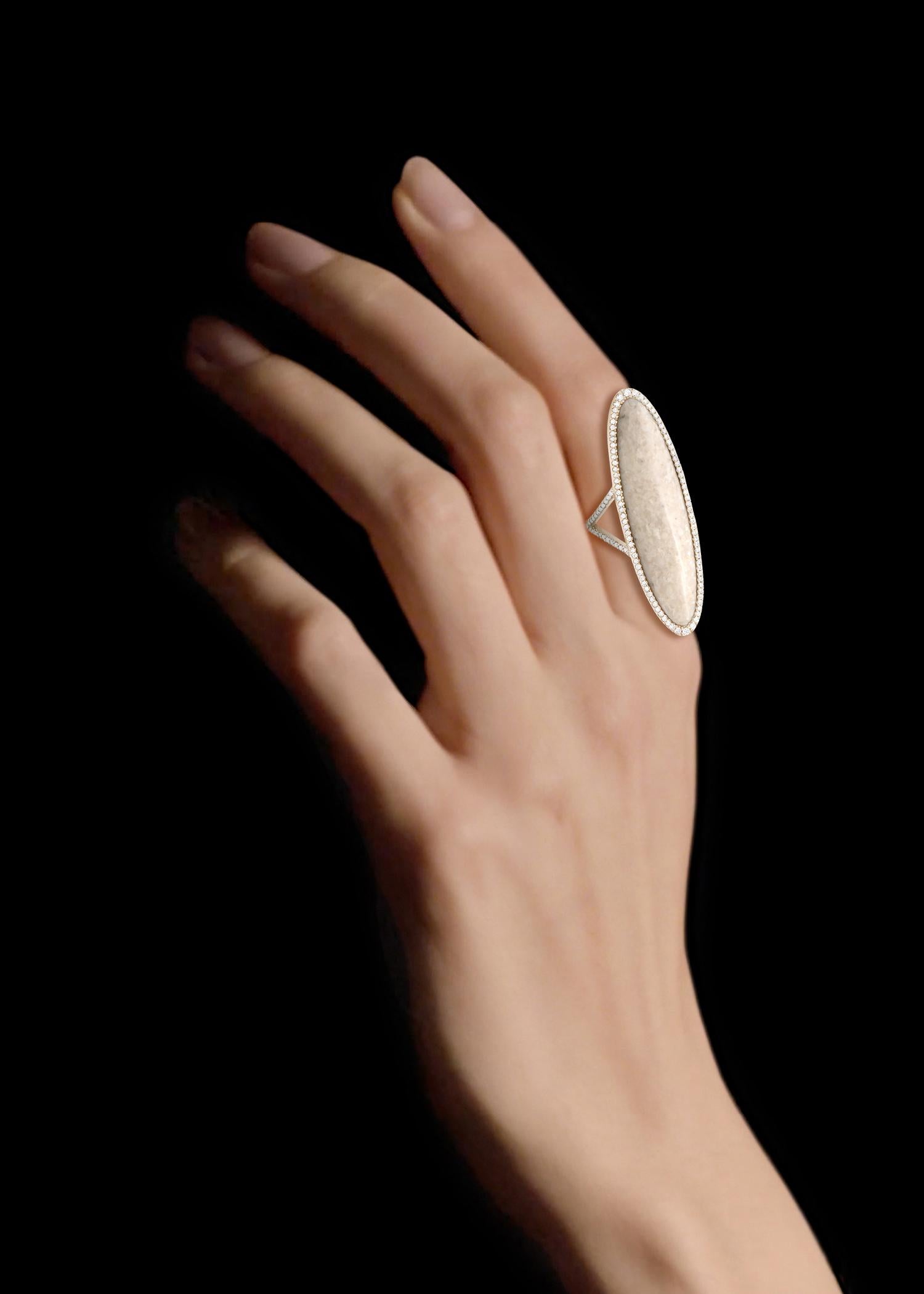 dinosaur bone rings