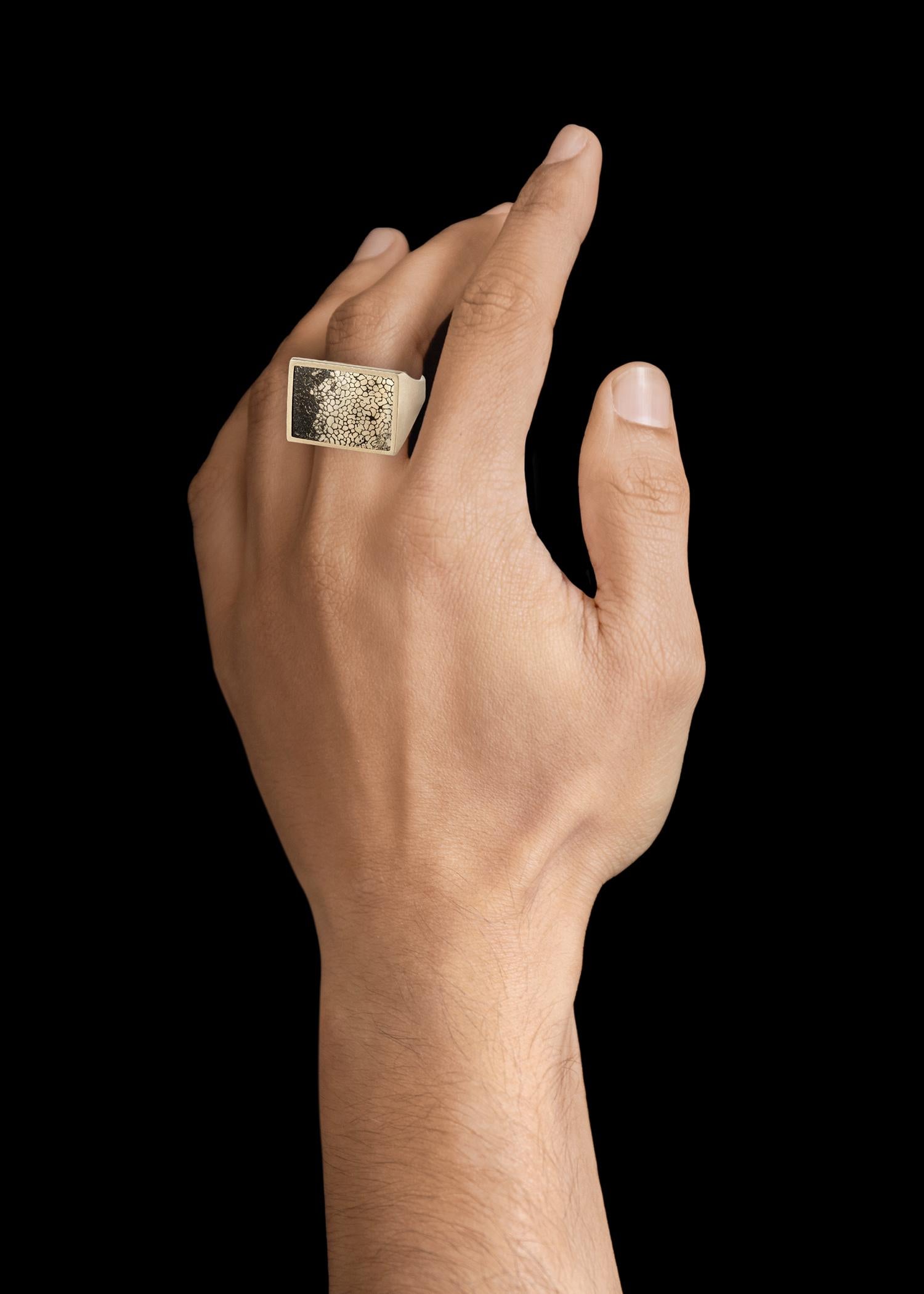 Women's or Men's Monique Péan Pyritized Dinosaur Bone Ring, 18 Carat Recycled White Gold For Sale
