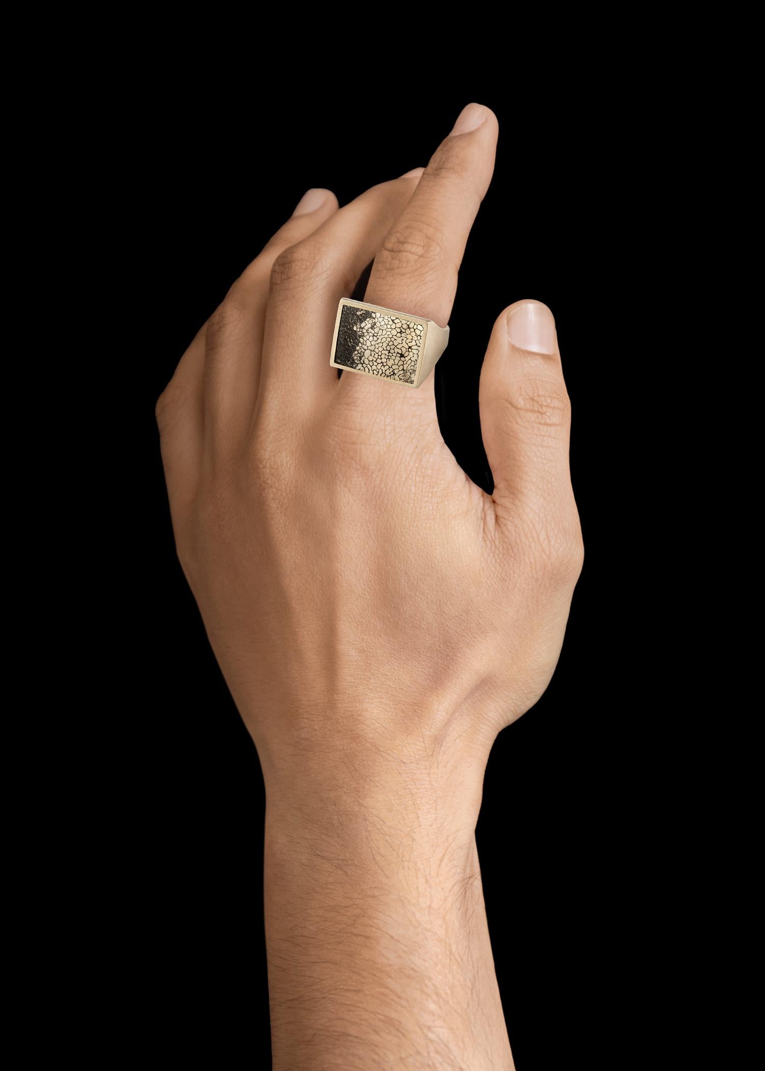 Monique Péan Pyritized Dinosaur Bone Ring, 18 Carat Recycled White Gold For Sale 1