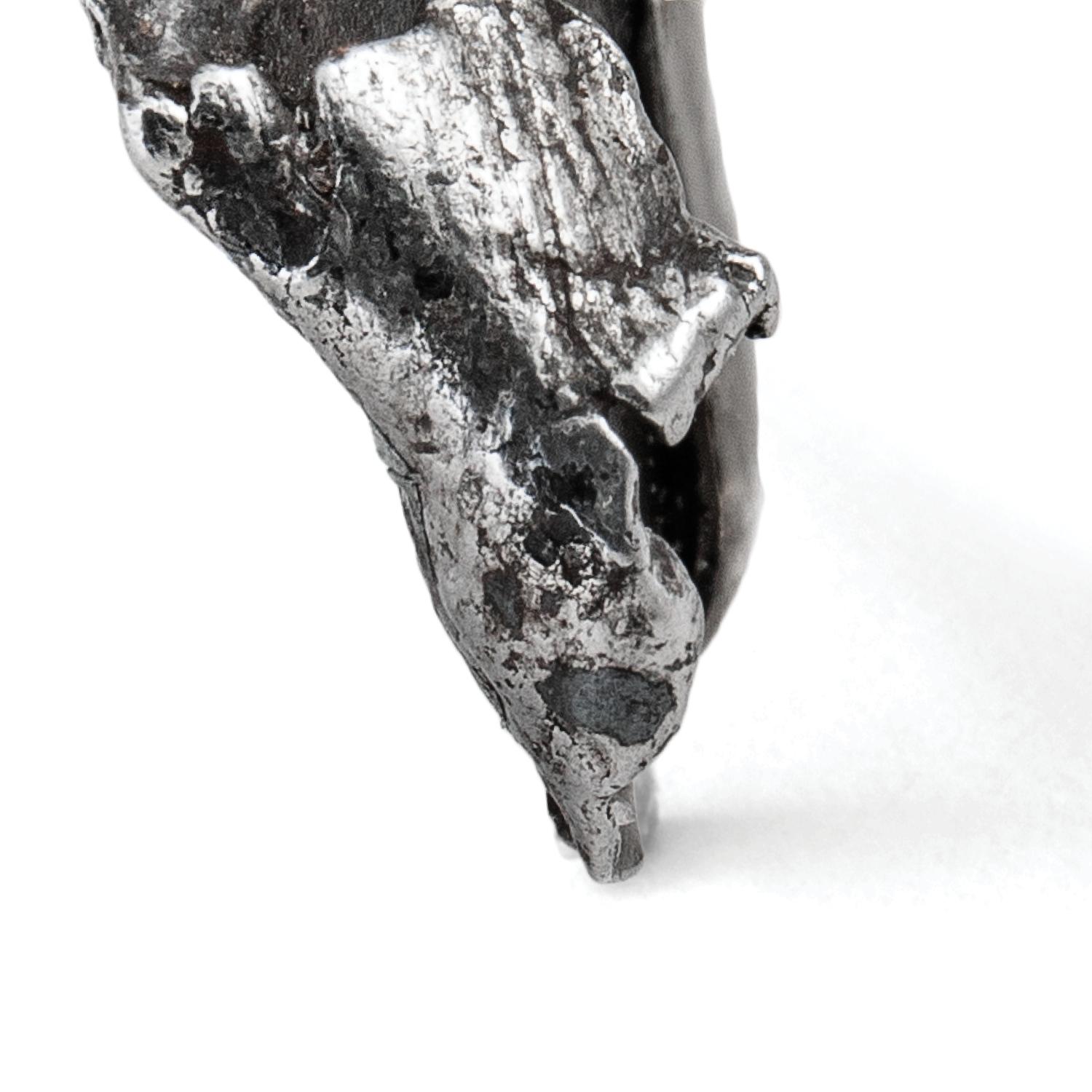 For Sale:  Monique Péan White Diamond and Sikhote-Alin Meteorite Specimen Ring 4