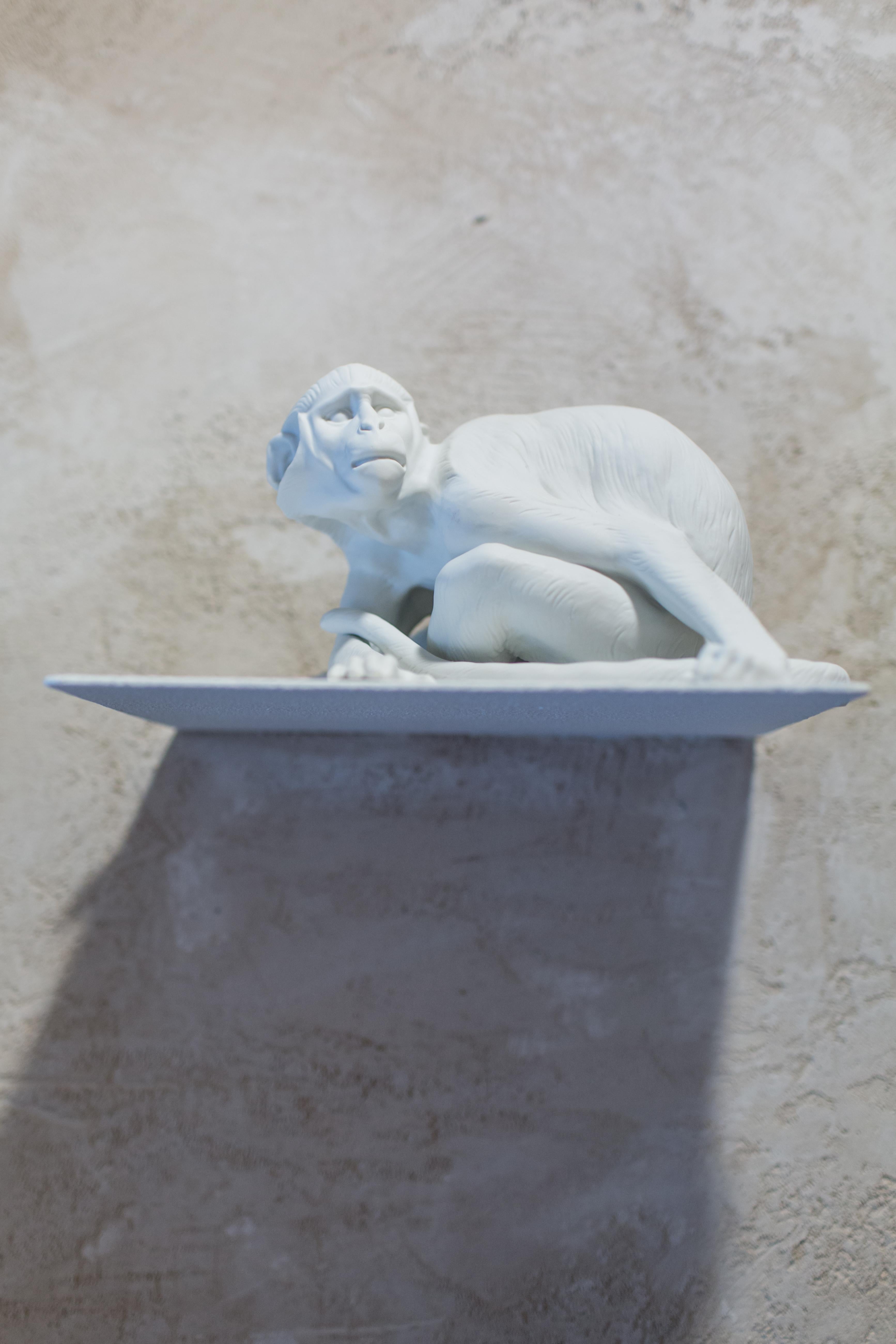Designed by Theodor Kärner in 1906, this young monkey emphasizes the wealth of detail and depth of subtlety offered by white biscuit porcelain. 

Material: White biscuit porcelain.