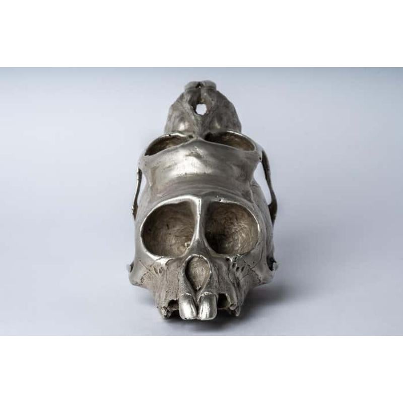 Double Monkey Skull in brass. It is a striking and intriguing piece of art, capturing the essence of the majestic monkey in a unique and captivating form. Its construction adds a touch of elegance to the fierce and powerful symbolism of the monkey,