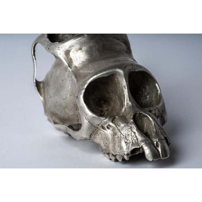 Monkey Skull Box (Double, AS) For Sale 1