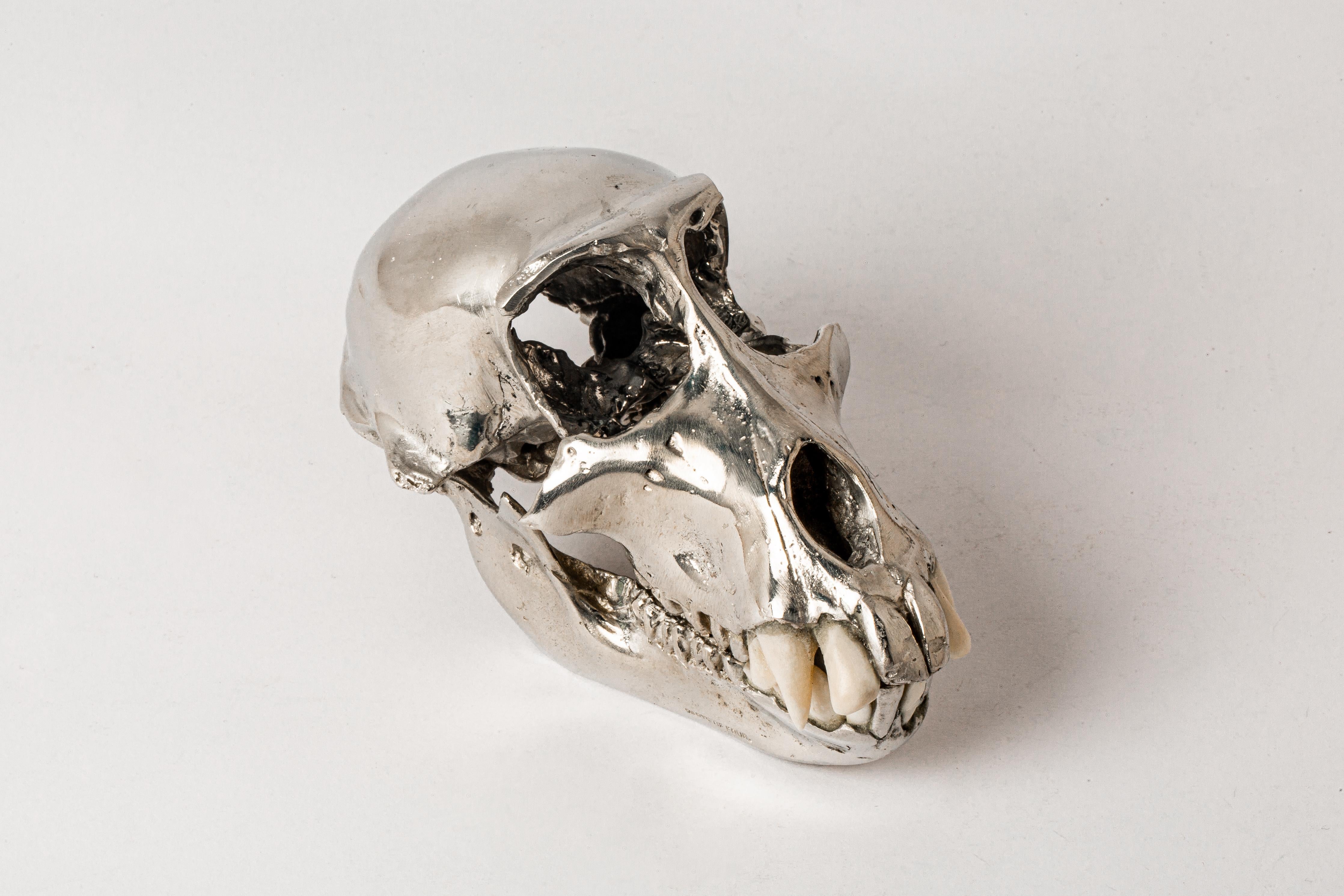 Monkey Skull (CR+B) In New Condition For Sale In Paris, FR