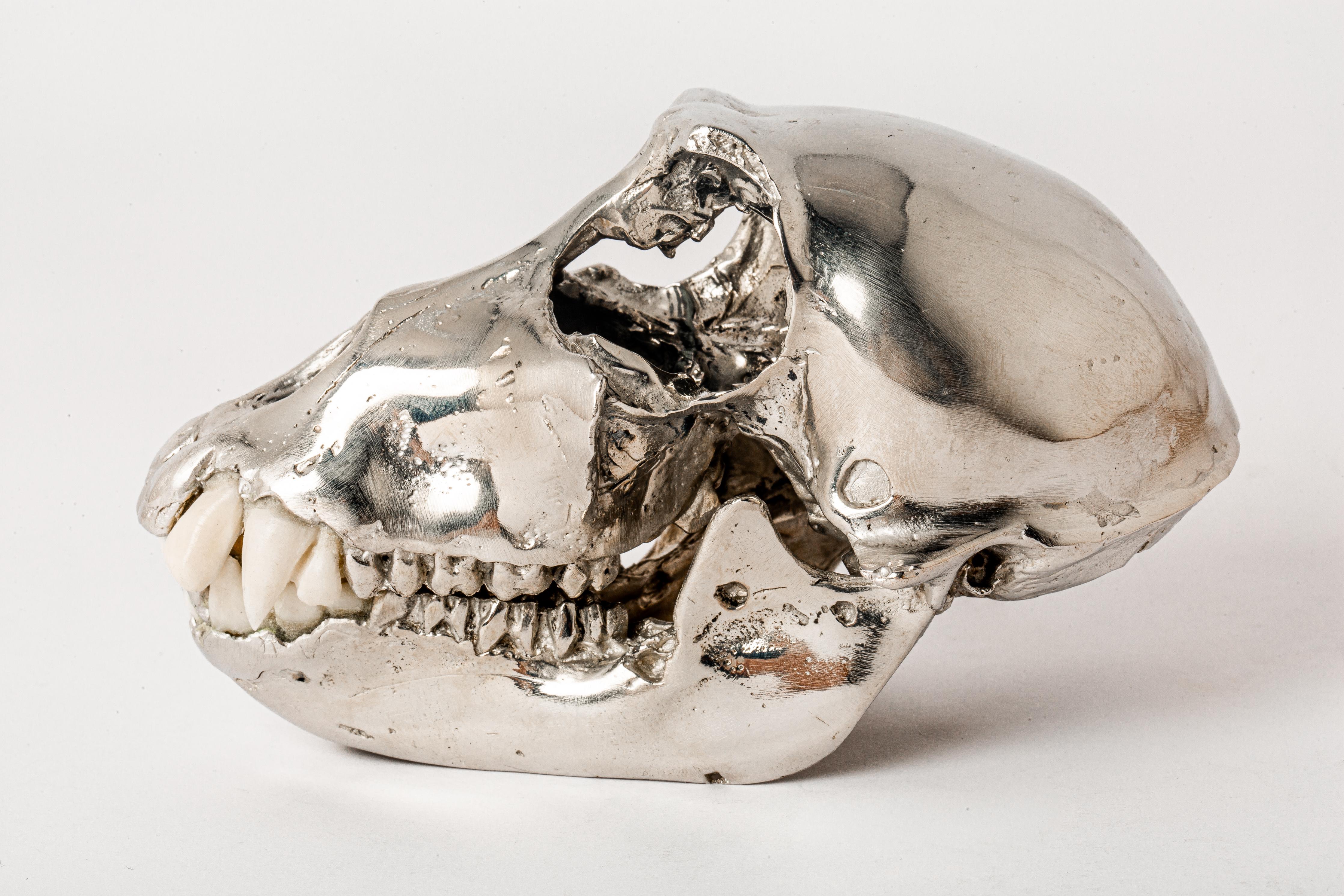 Women's or Men's Monkey Skull (CR+B) For Sale