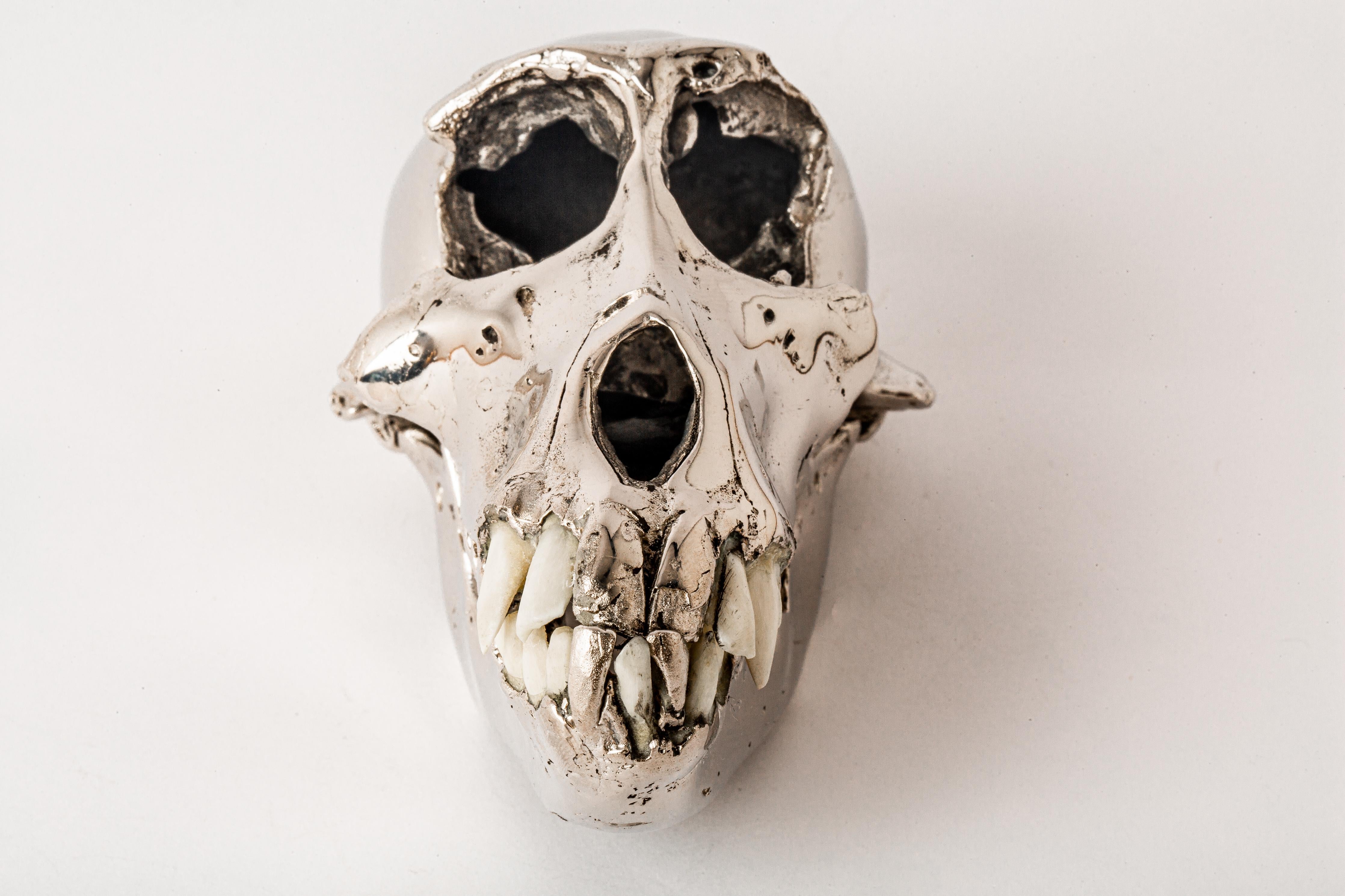 Monkey Skull (CR+B) For Sale 1