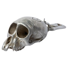 Monkey Skull (Heart Intervention, AS)