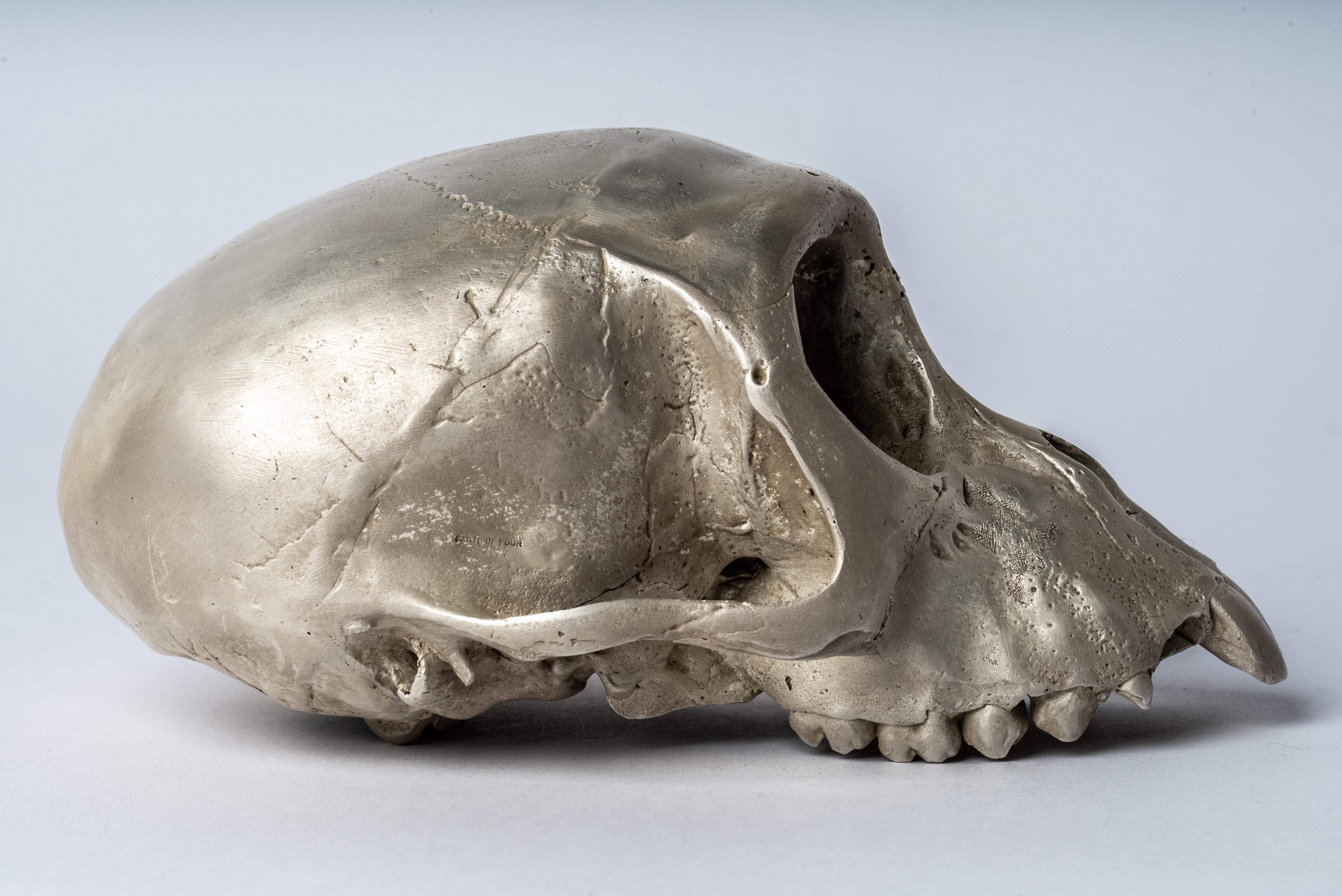 Monkey Skull (Jawless, AS) In New Condition For Sale In Paris, FR