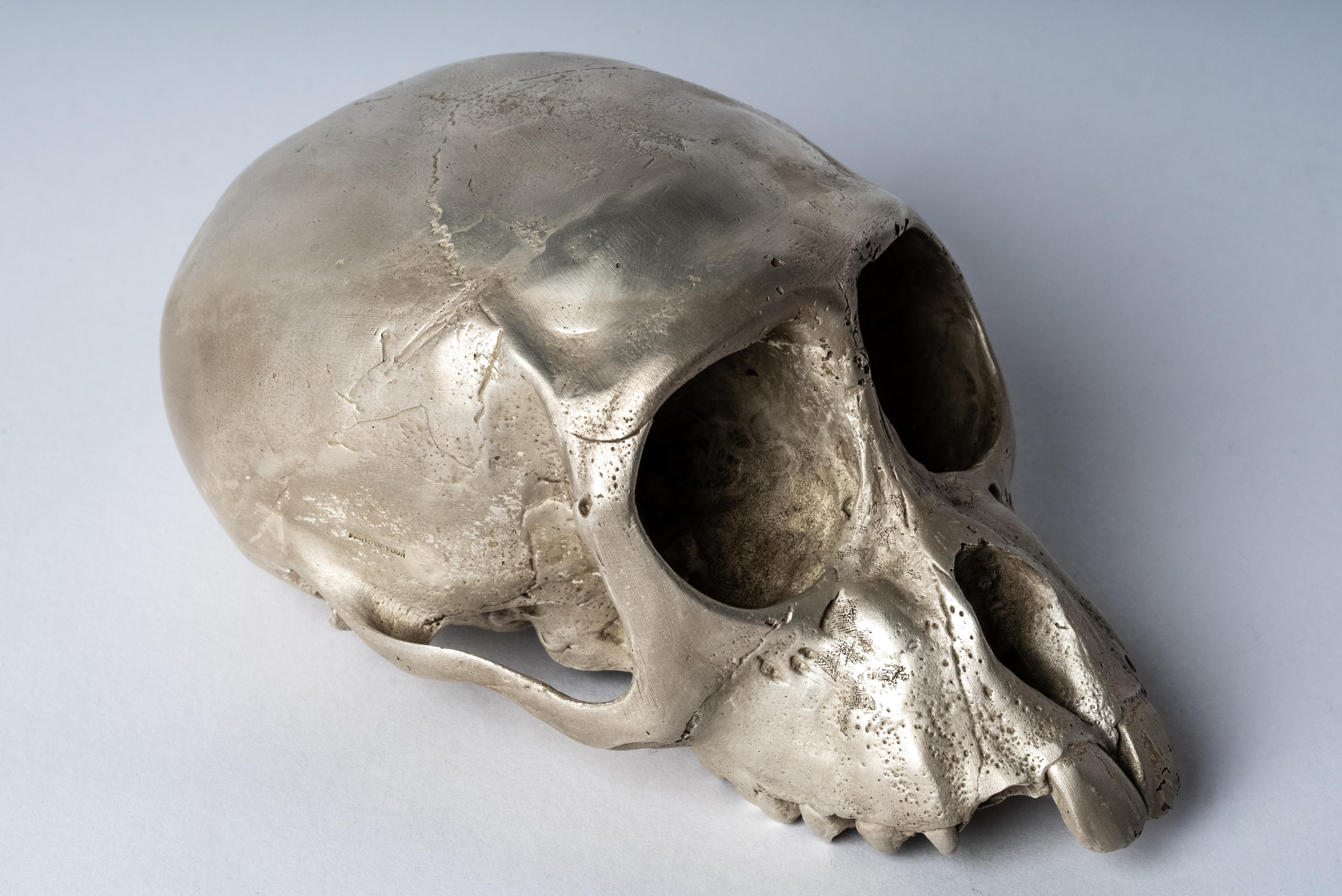 Monkey Skull (Jawless, AS) In New Condition For Sale In Hong Kong, Hong Kong Island