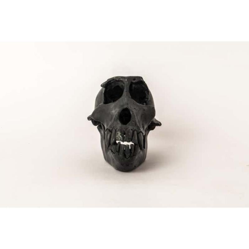 Monkey Skull in brass. It is a striking and intriguing piece of art, capturing the essence of the majestic monkey in a unique and captivating form. Its construction adds a touch of elegance to the fierce and powerful symbolism of the monkey, making