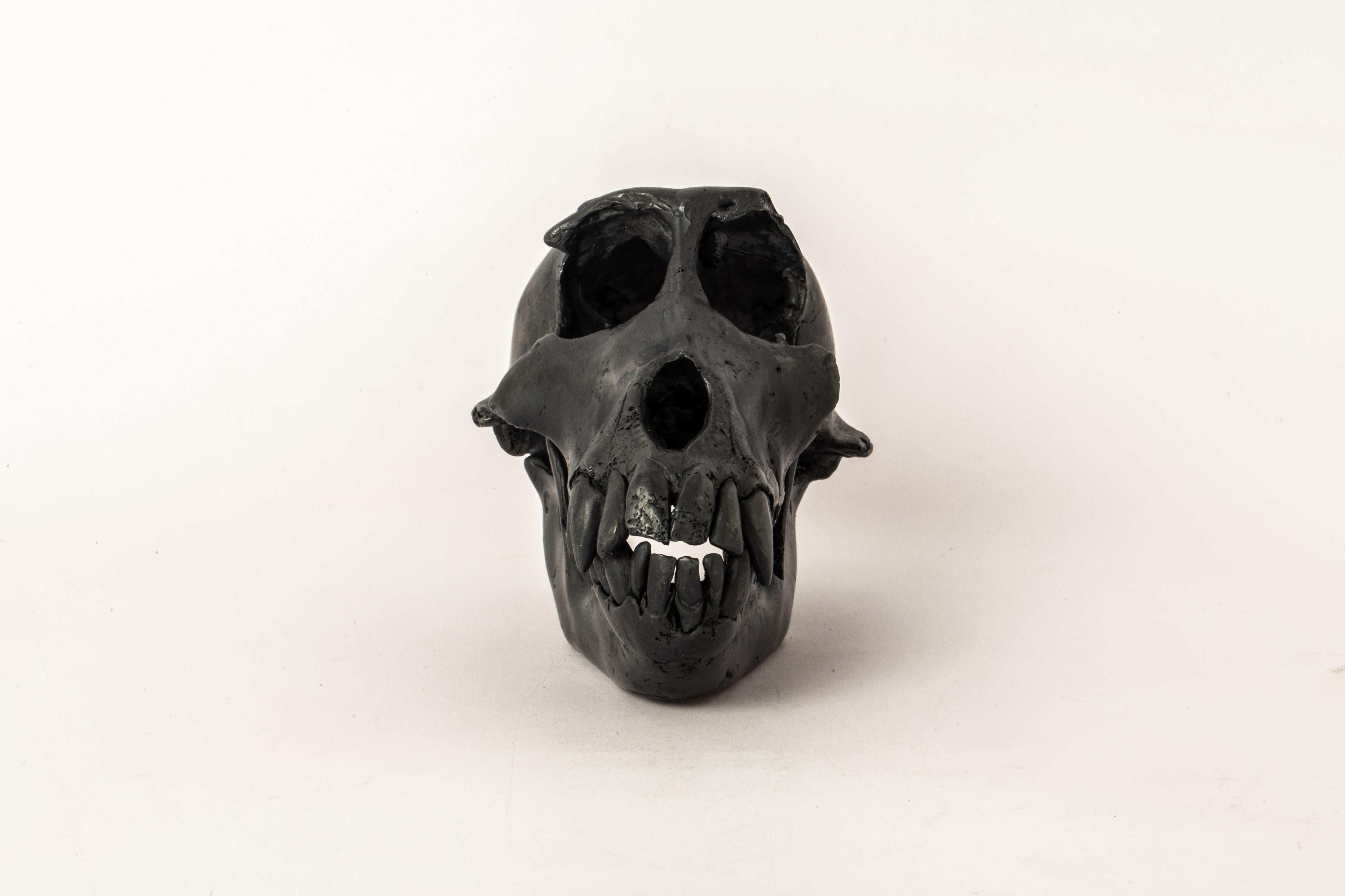 Monkey Skull in brass. It is a striking and intriguing piece of art, capturing the essence of the majestic monkey in a unique and captivating form. Its construction adds a touch of elegance to the fierce and powerful symbolism of the monkey, making