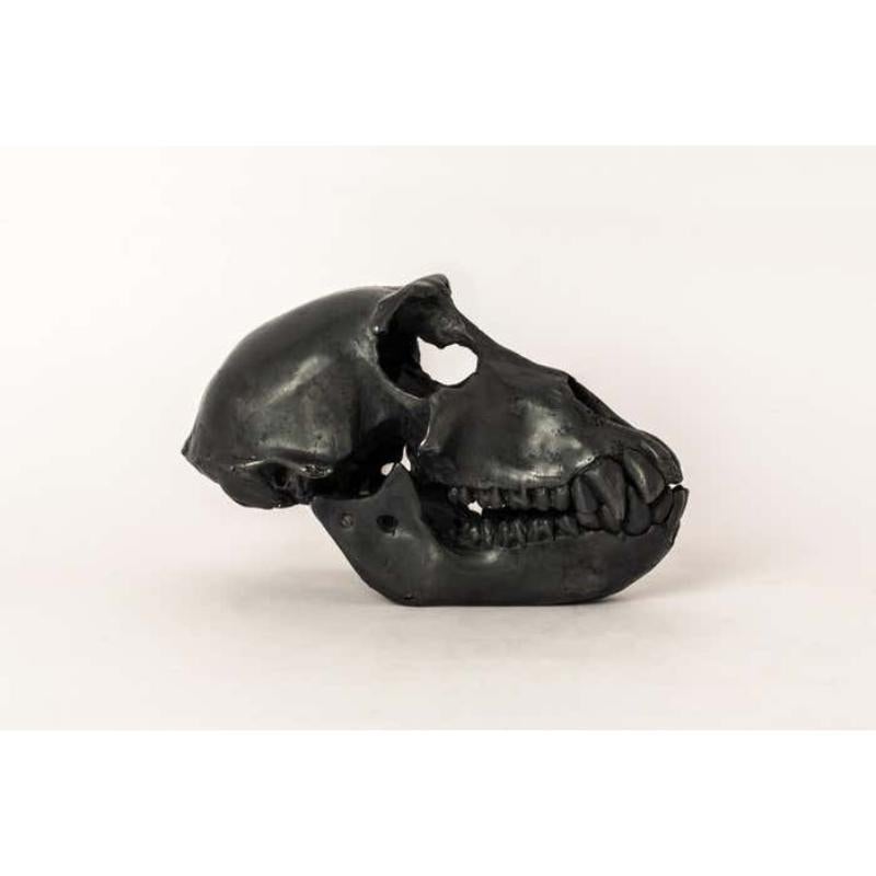 Monkey Skull (KAS) In New Condition For Sale In Hong Kong, Hong Kong Island