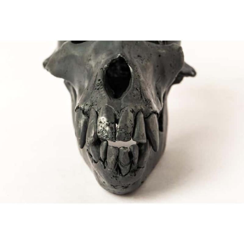 Monkey Skull (KAS) For Sale 1