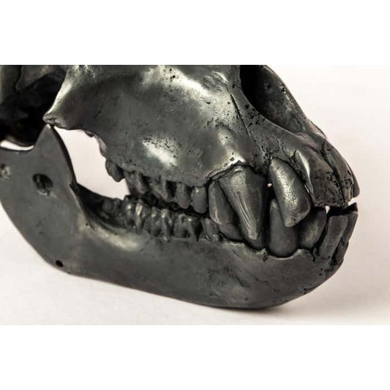 Monkey Skull (KAS) For Sale 2
