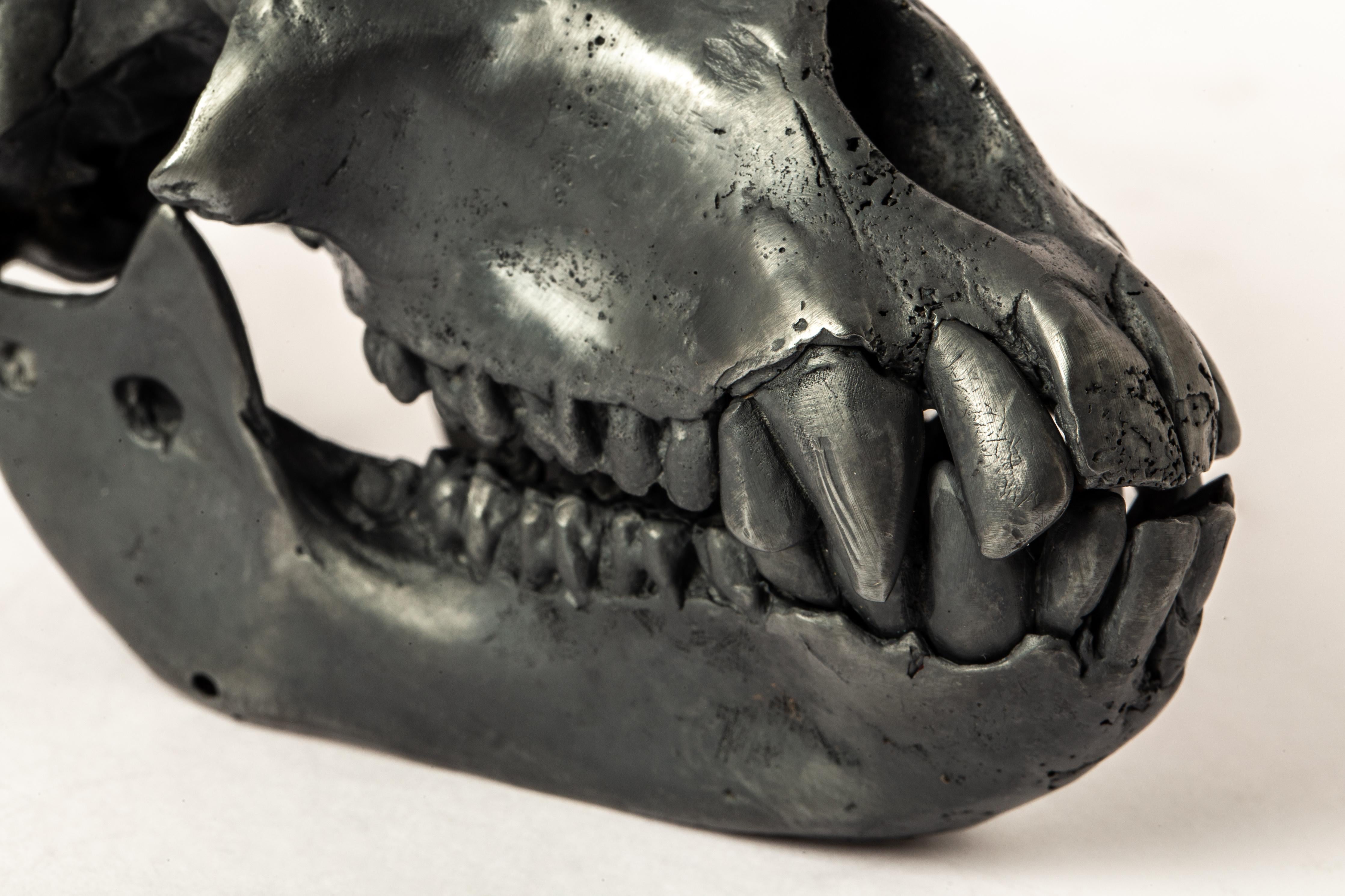 Monkey Skull (KAS) In New Condition For Sale In PARIS, FR