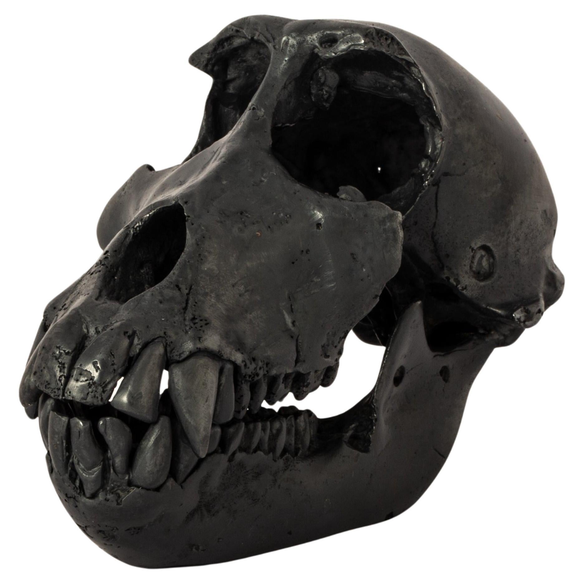 Monkey Skull (KAS)
