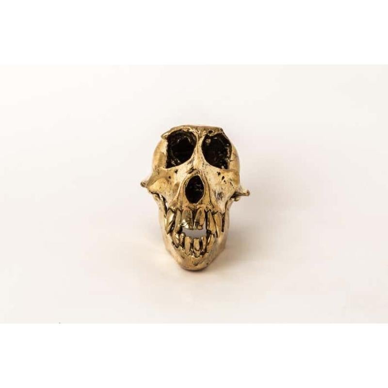 Monkey Skull (PR) In New Condition For Sale In Paris, FR