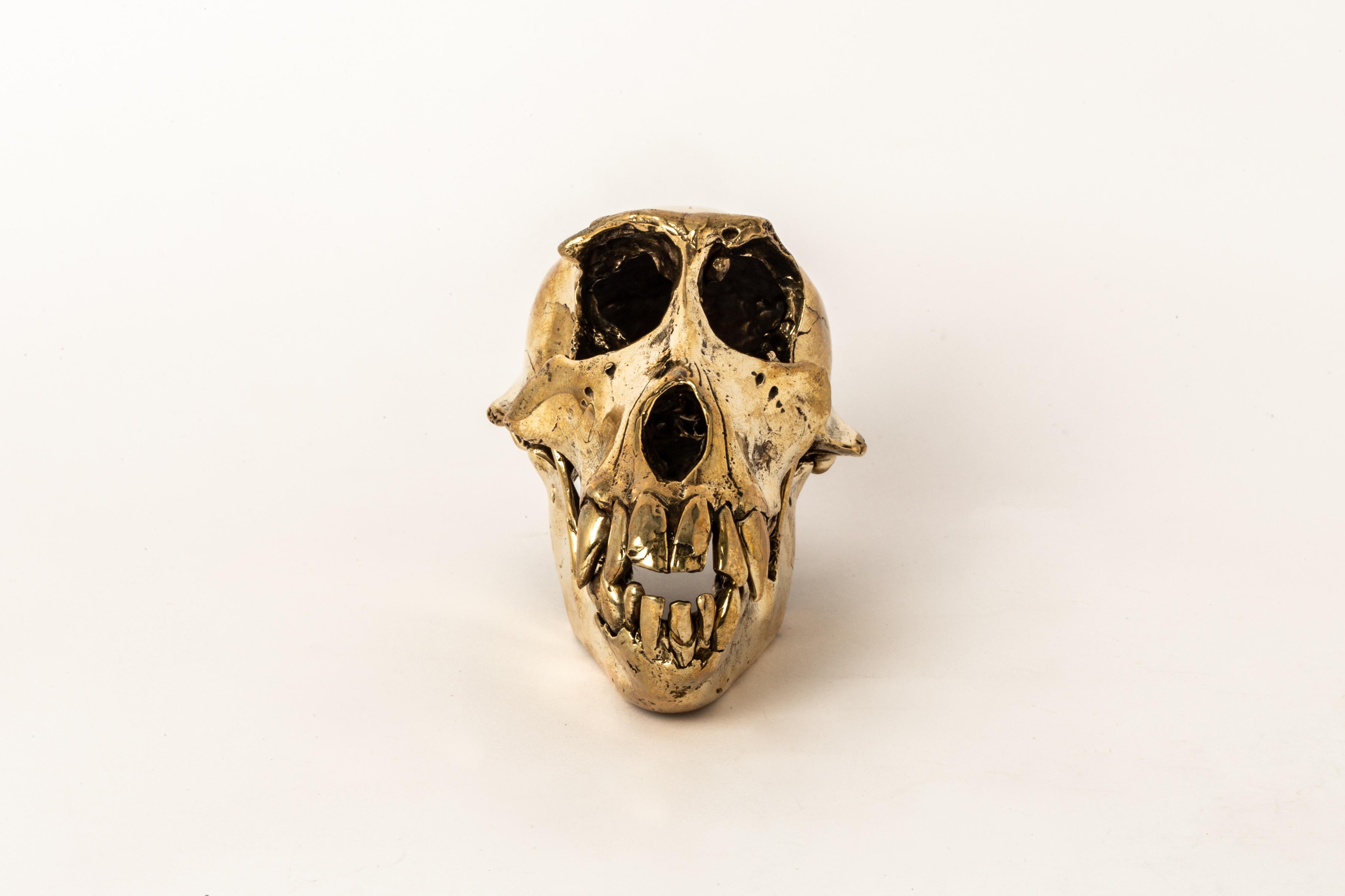 Monkey Skull (PR) In New Condition For Sale In PARIS, FR