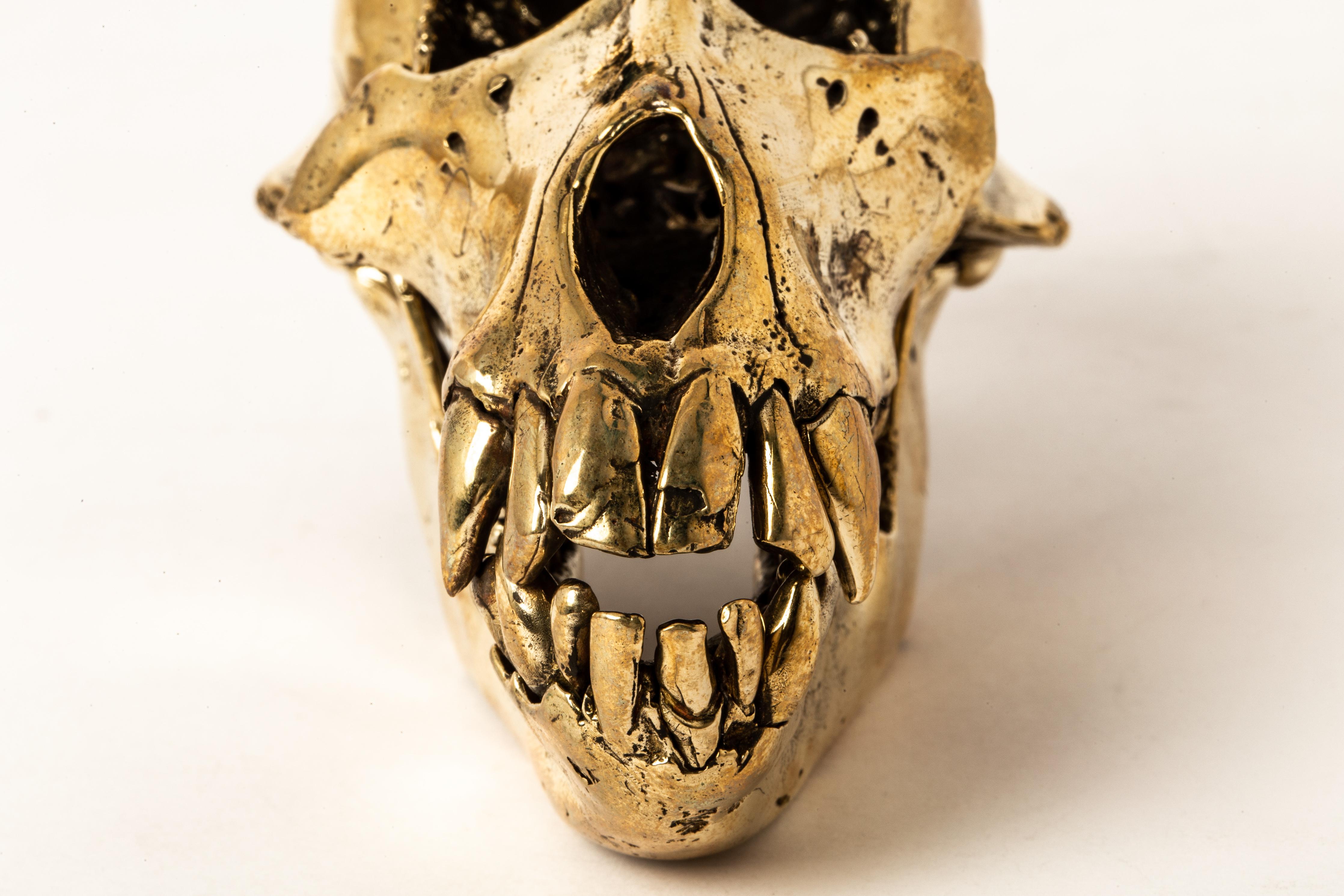 Monkey Skull (PR) For Sale 1