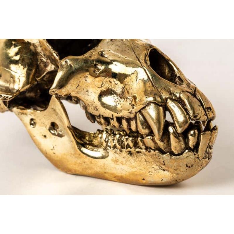Monkey Skull (PR) For Sale 2