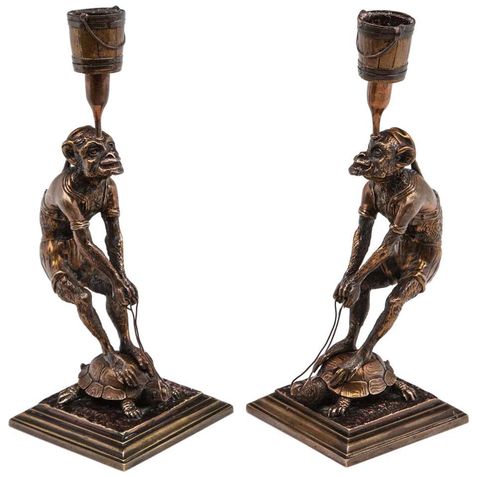 Turtle Fossil Stylemys Species from the Oligocene Era, Discovered in ...