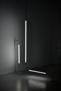 Mono Lights nach OS und OOS