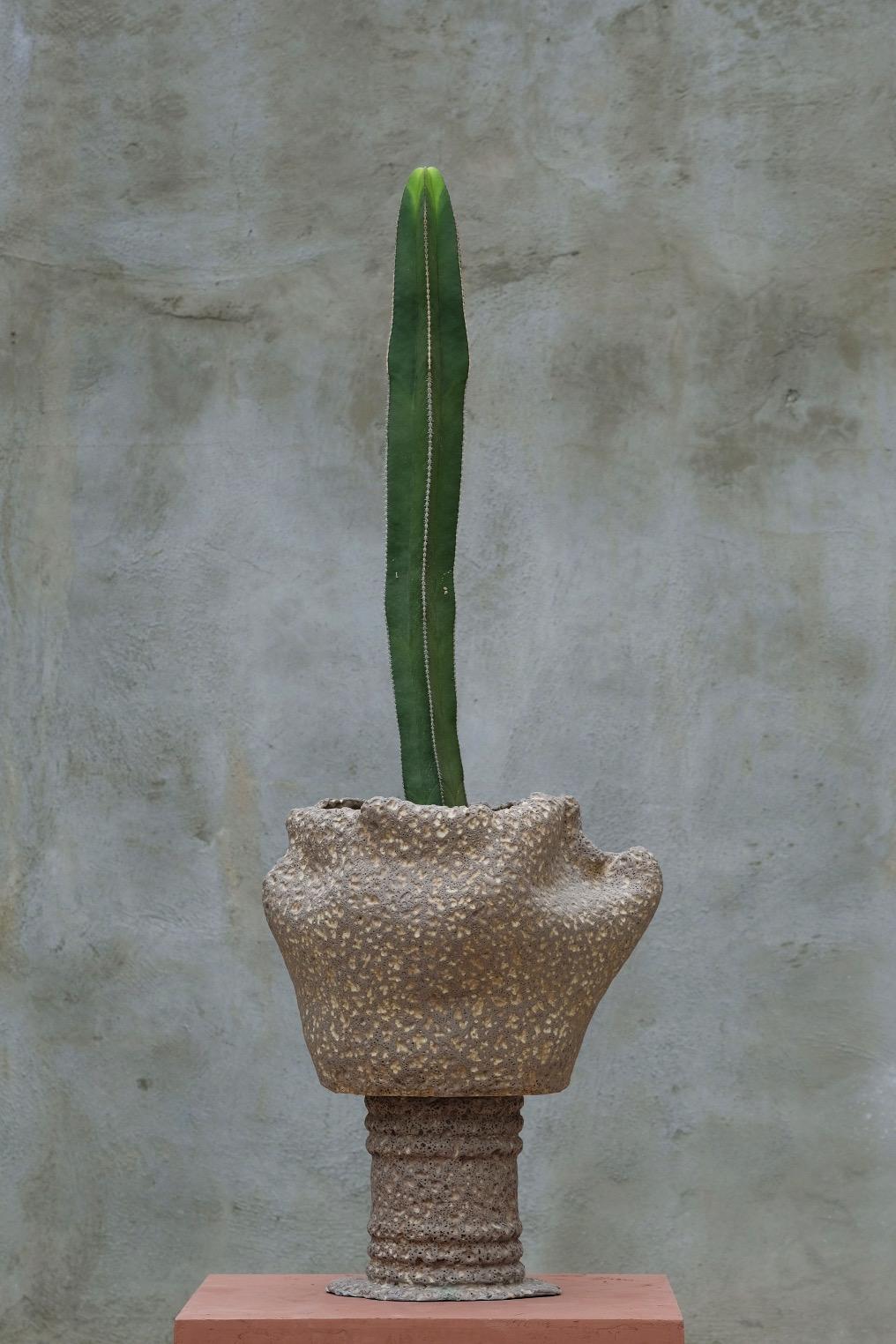 This sculptural planter is a part of LGS Studio's 
