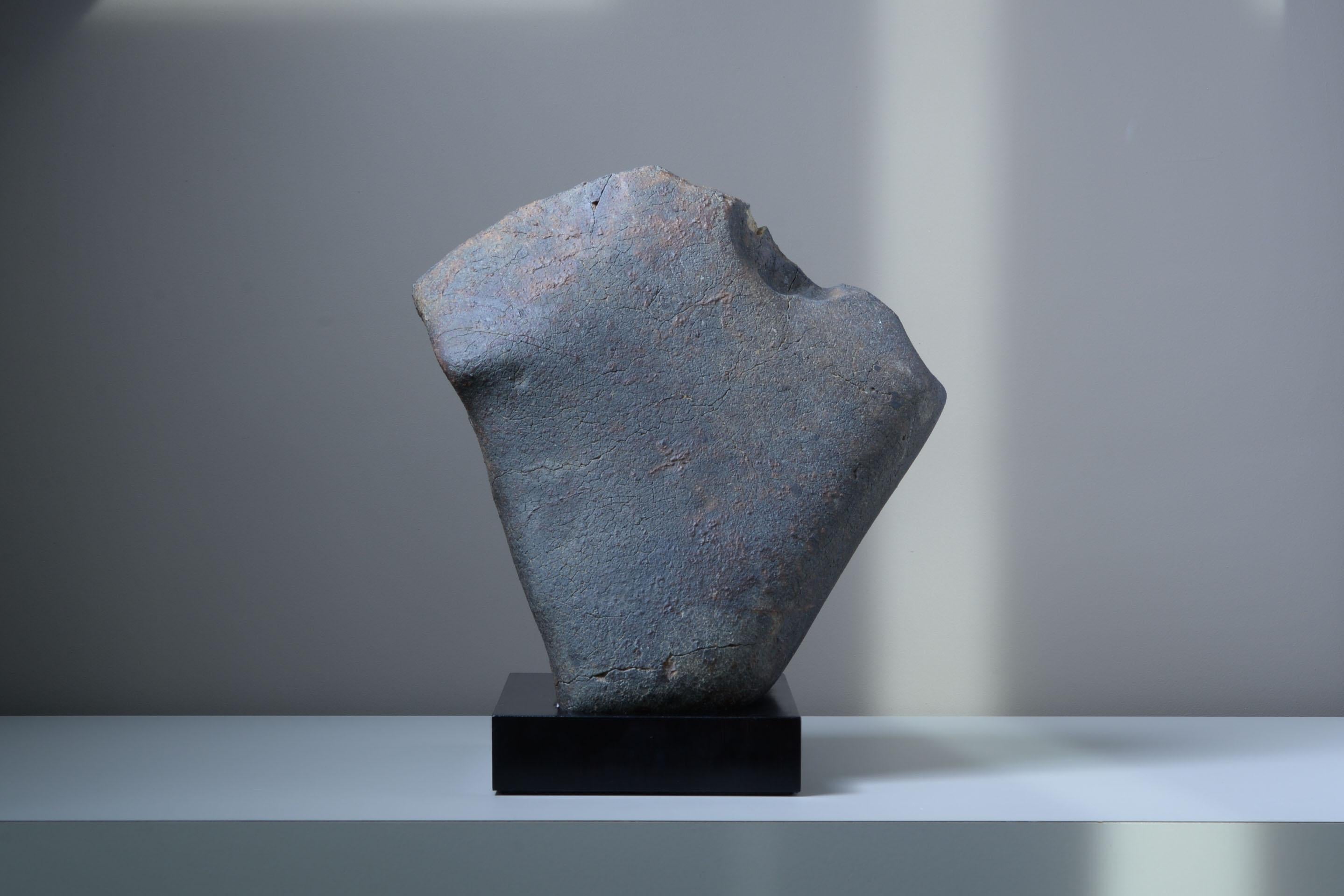 Monolithic Stone Meteorite For Sale 1