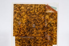 Monopoly Resin Inclusion by Arman