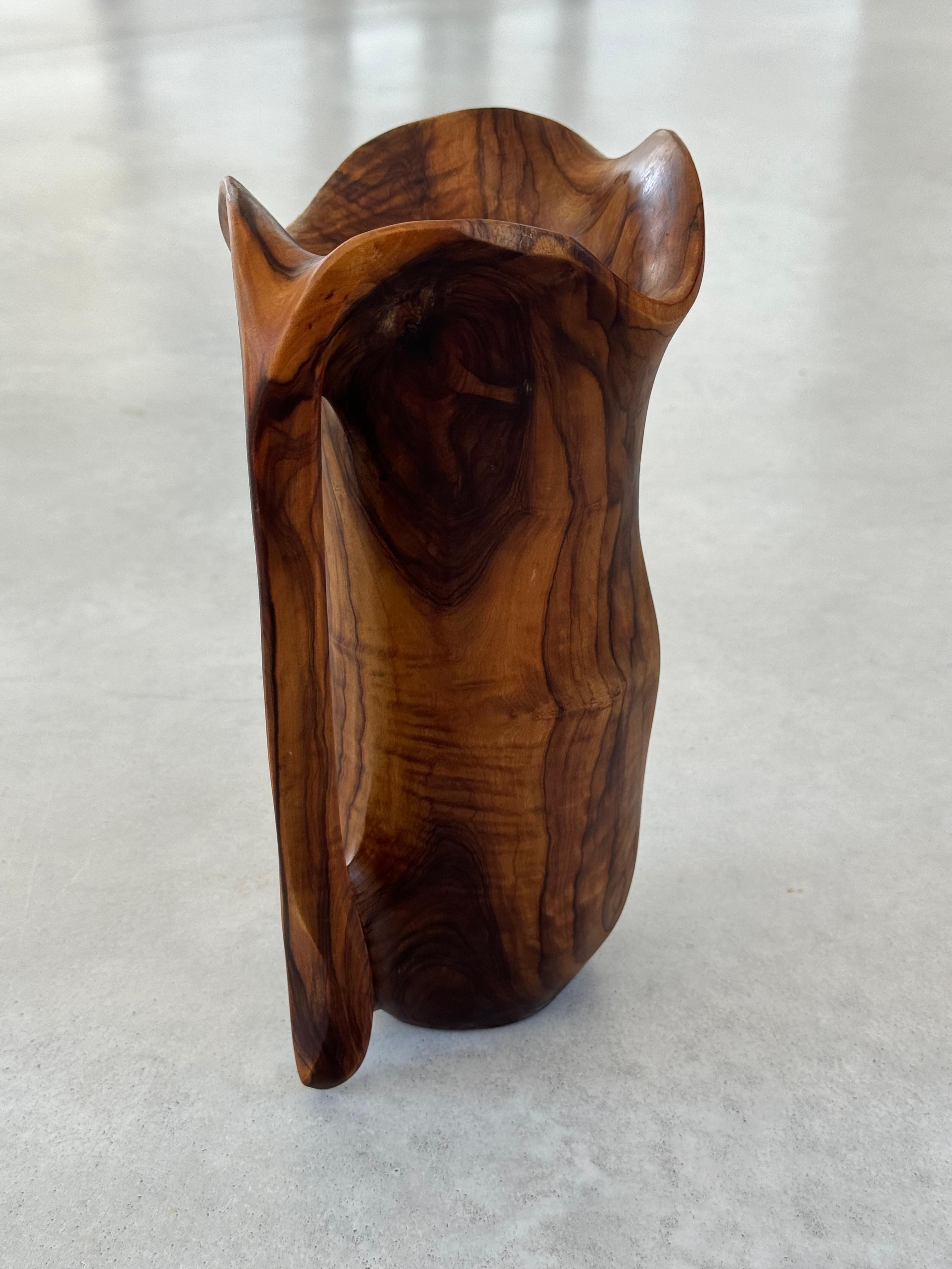 Wood Monoxyl pitcher olive wood,  French folk art, Alexandre Noll style, circa 1950s For Sale