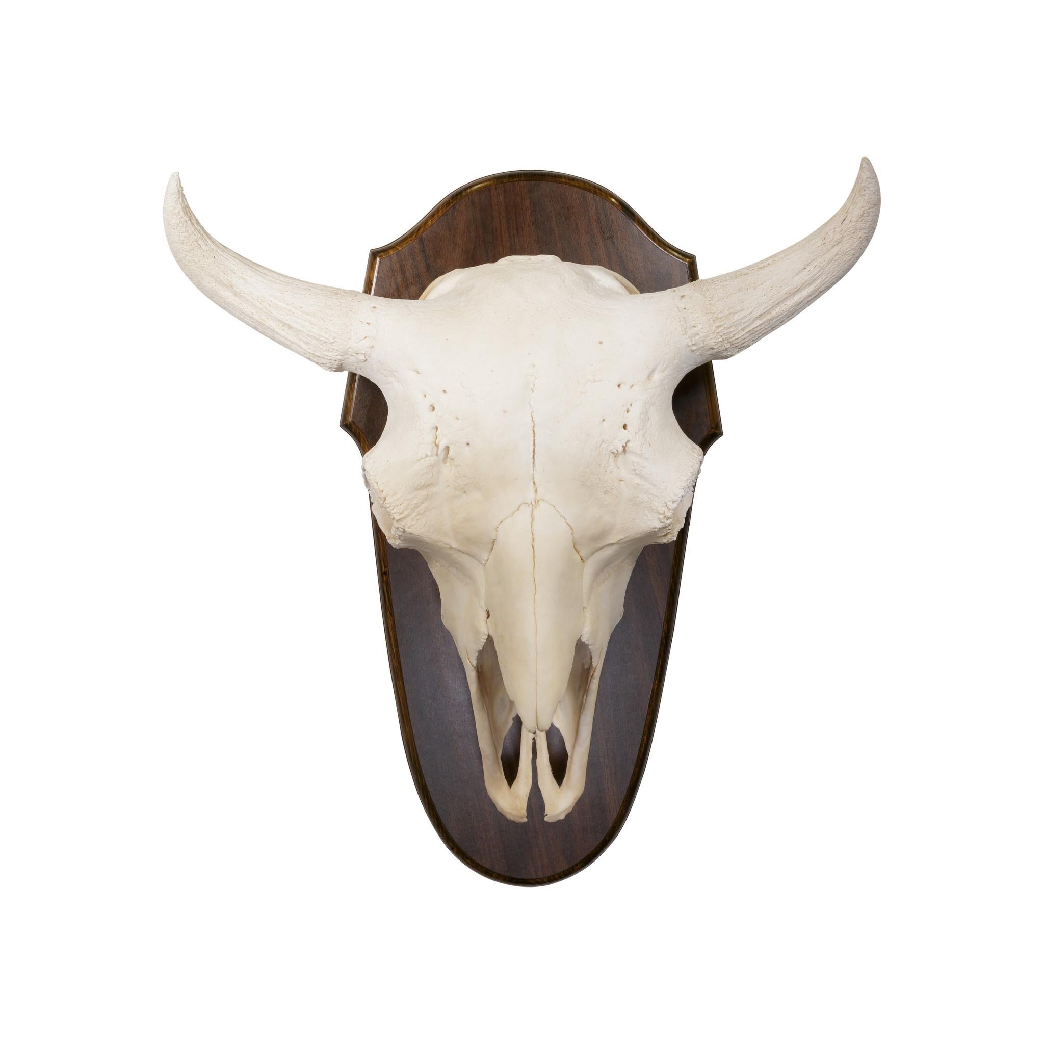 Vintage Cast Aluminum Mounted Antlers For Sale at 1stDibs