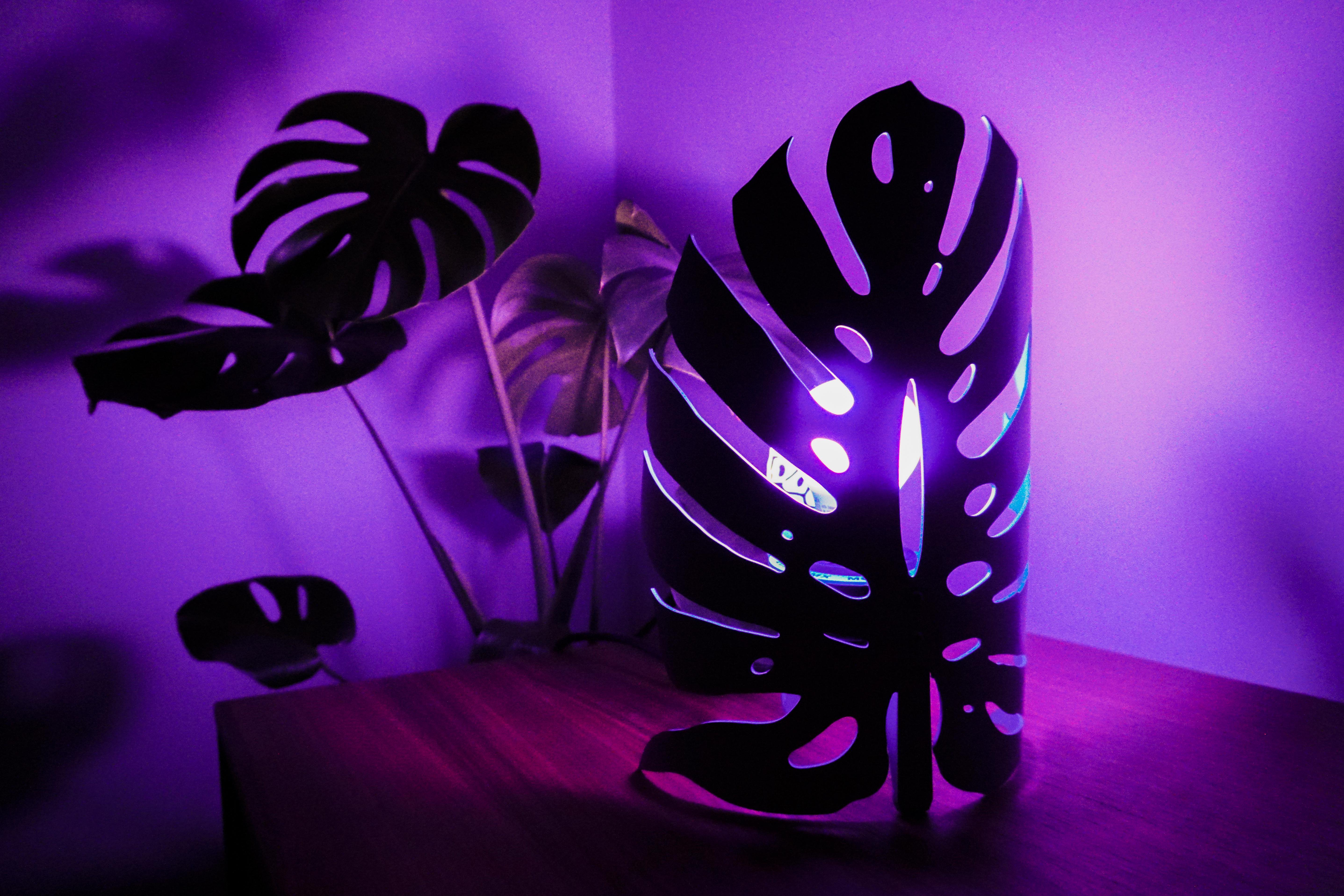 Contemporary Monstrera Desk Lamp by Lilia Cruz Corona Garduño For Sale
