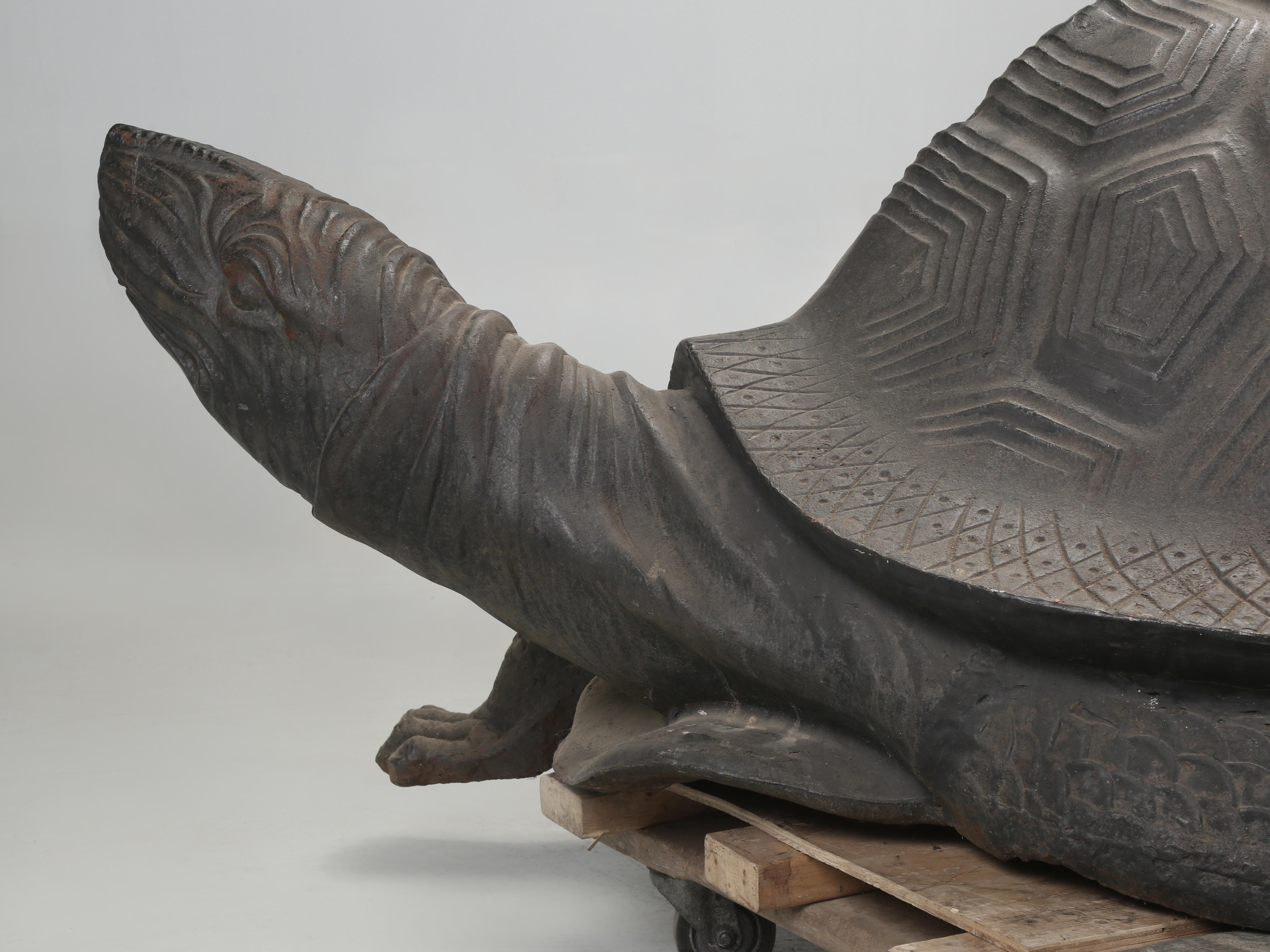 Monstrous Size 6' Long 800 Pound Cast Iron Tortoise Sculpture or Garden Fountain For Sale 6